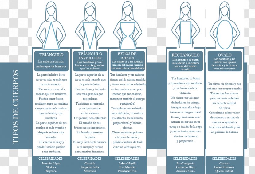 Wedding Dress Clothing Bride Evening Gown - Diagram Transparent PNG