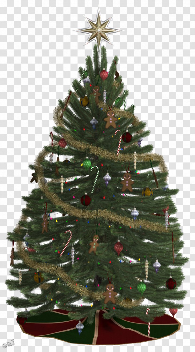 Christmas Tree Ornament Spruce - Winter Transparent PNG