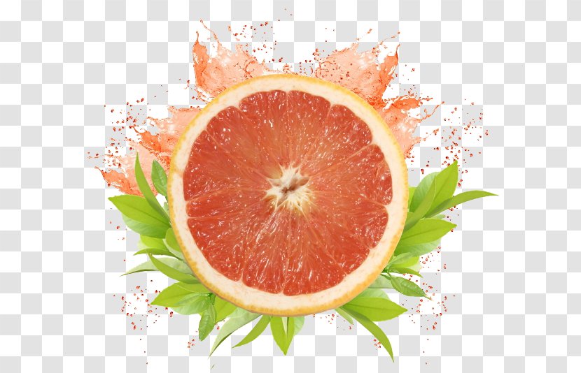 Lip Balm Grapefruit Juice Cosmetics Gloss - Oil - Fruit Decoration Free To Pull The Material Transparent PNG