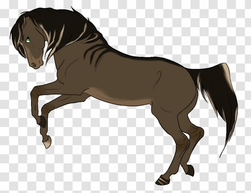 Mane Foal Stallion Pony Mare - English Riding - Mustang Transparent PNG