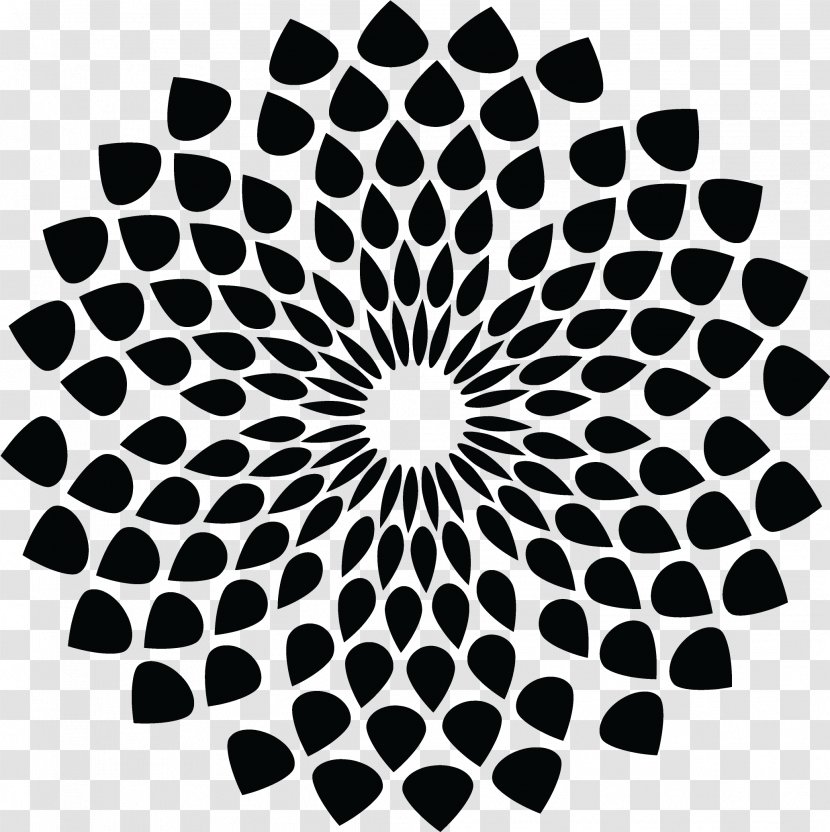 Eye Cartoon - National Institute - Doily Symmetry Transparent PNG