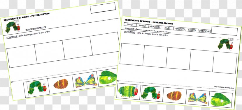 The Very Hungry Caterpillar Inc. Butterfly Paper - Education Transparent PNG