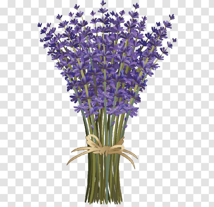 Lavender Flower Bouquet - Plant Stem Transparent PNG