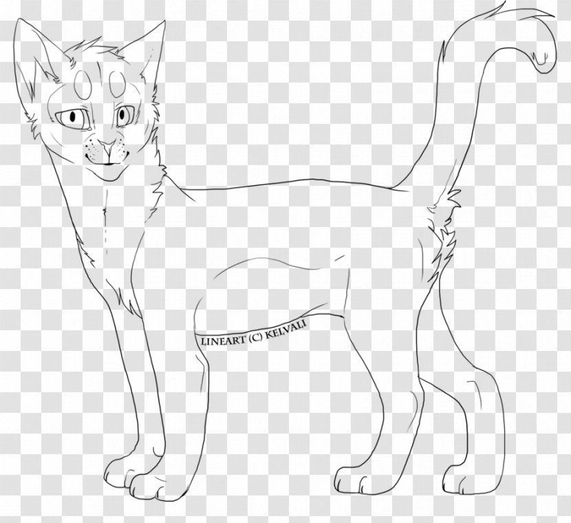 Cat Line Art Drawing - Domestic Shorthaired - Lineart Transparent PNG