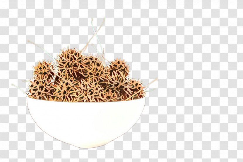 Grass Family Plant Food Cereal Psyllium Seed Husks Transparent PNG