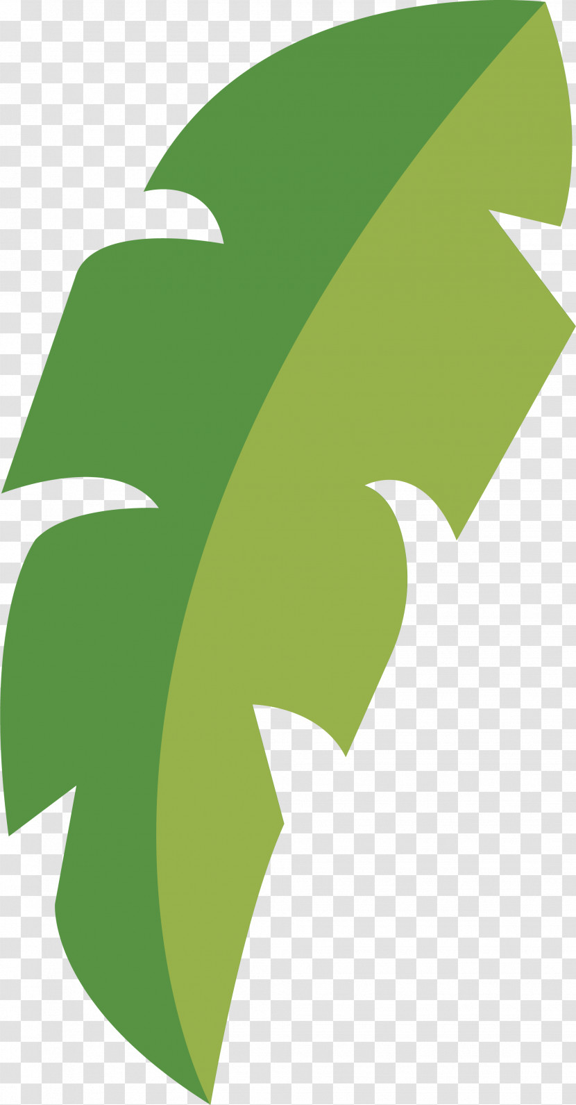 Leaf Transparent PNG