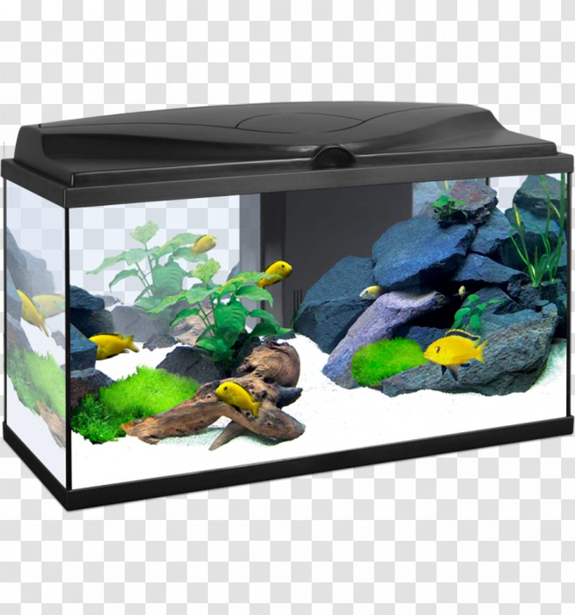 Aquarium Ciano Aqua 20 Fishkeeping Black - Lighting - Juguetes Transparent PNG