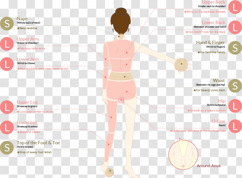 Skin Laser Hair Removal Human Body - Tree Transparent PNG