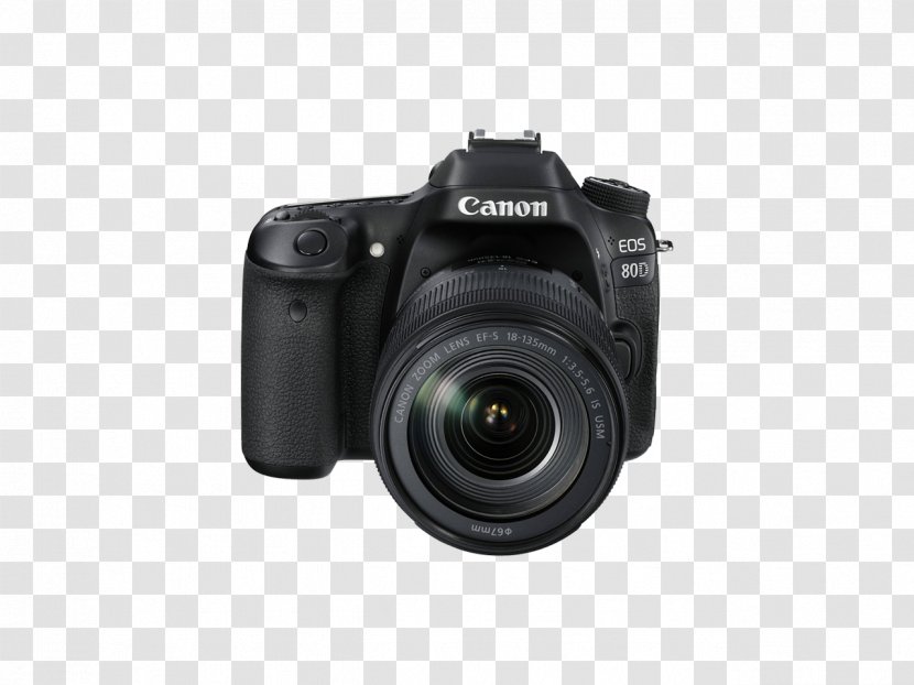 Canon EOS 80D 77D EF-S 18–135mm Lens EF Mount - Eos - Camera Transparent PNG