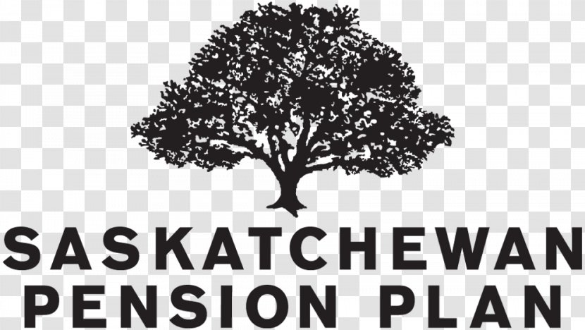 Saskatchewan Pension Plan Registered Retirement Savings Defined Contribution - Saving - Taxfree Account Transparent PNG