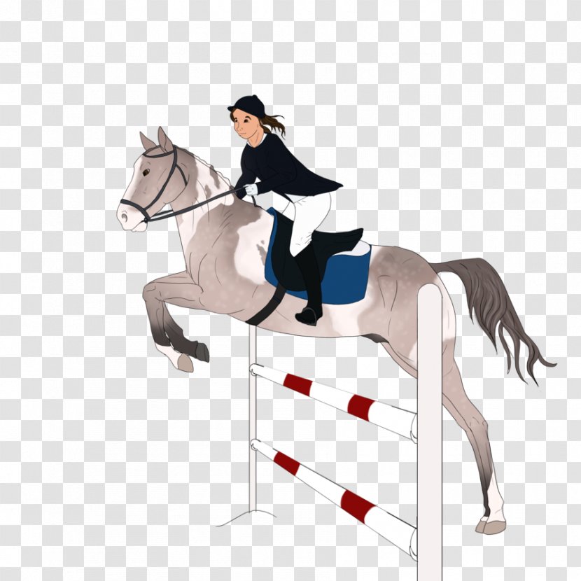 Show Jumping Stallion Rein Mustang Hunt Seat - Cil Transparent PNG