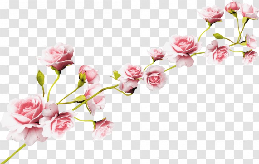 Rose Flower Pink Clip Art - Branch - Watercolor White Transparent PNG