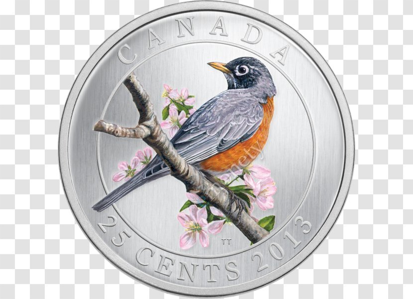 Quarter Bird Coin American Robin Cent - Royal Canadian Mint Transparent PNG
