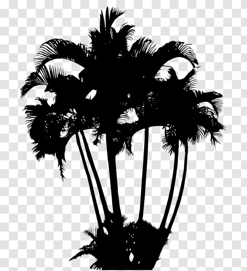 Palm Trees Image Logo Coconut Transparent PNG