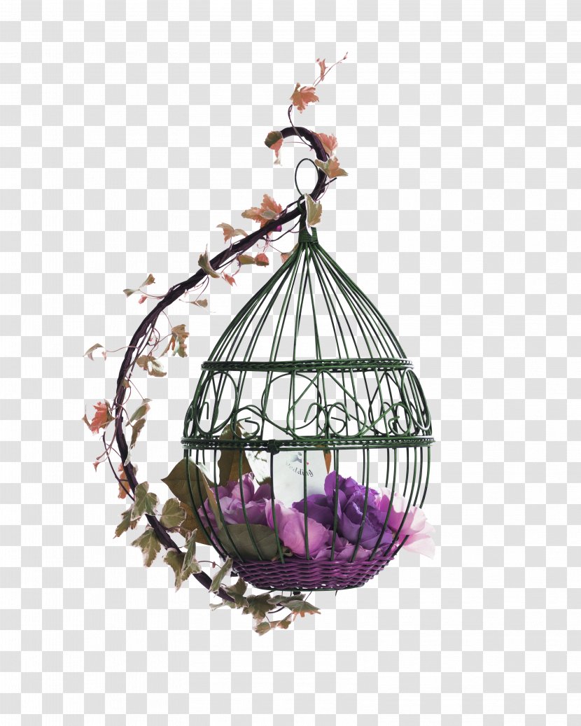 Purple Fresh Bird Cage Decoration Pattern - Lovebird - Parakeet Transparent PNG