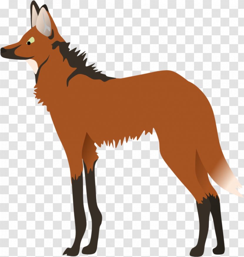 Red Fox Nyala Gray Wolf Bongo Male - Wildlife - Maned Transparent PNG