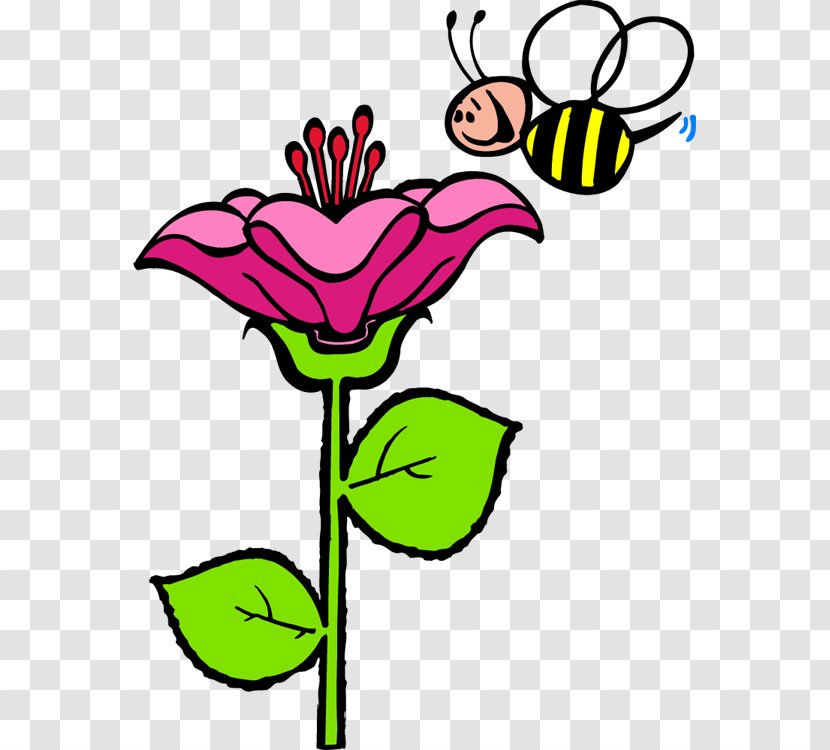 Honey Bee Clip Art Insect Flower Transparent PNG