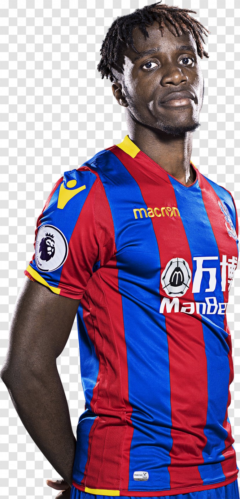 Wilfried Zaha Crystal Palace F.C. Football Player Premier League - Andrew Johnson - Glass Spain Transparent PNG