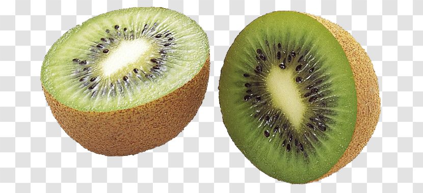 Kiwifruit Clip Art - Pixabay - Kiwi Slice File Transparent PNG