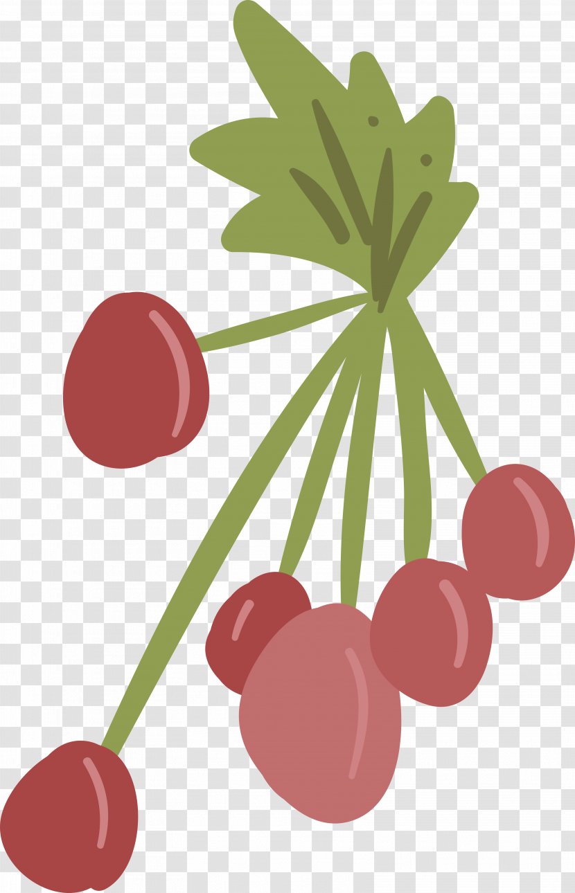 Frutti Di Bosco Cherry Berry - Flower - Cartoon Berries Transparent PNG