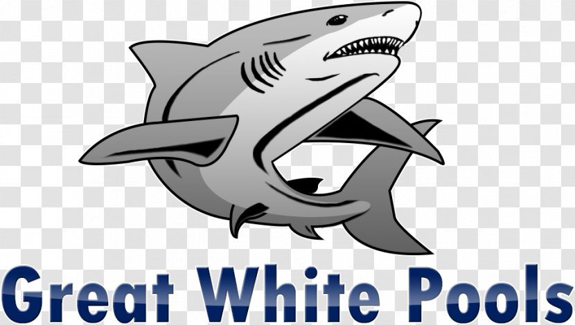 Great White Shark Pool Construction Inc. Gallery Building - Marine Mammal - Cartoon Transparent PNG