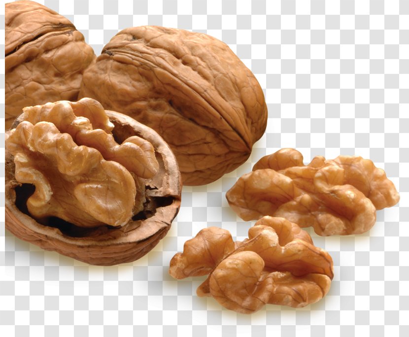 Walnut Almond Pecan Nutcracker Transparent PNG