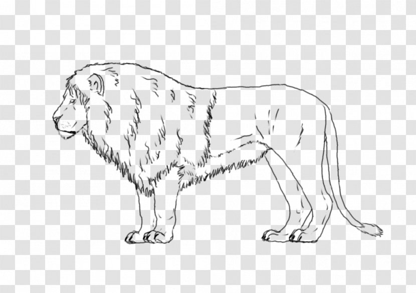 Lion Dog Breed Cat Line Art - Carnivoran Transparent PNG