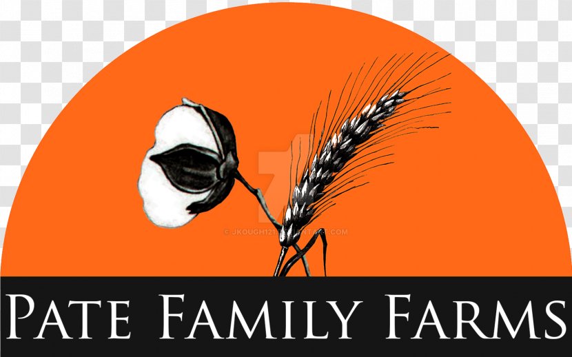 Logo Brand Pamlico Capital Font - Family Farm Design Ideas Transparent PNG