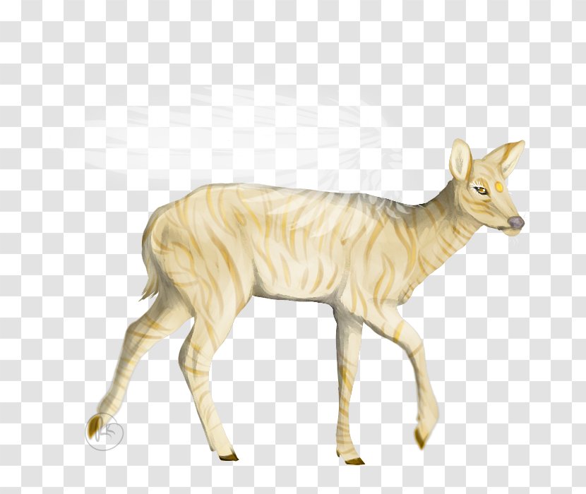 Cattle Musk Deers Antelope Wildlife - Like Mammal - Deer Transparent PNG