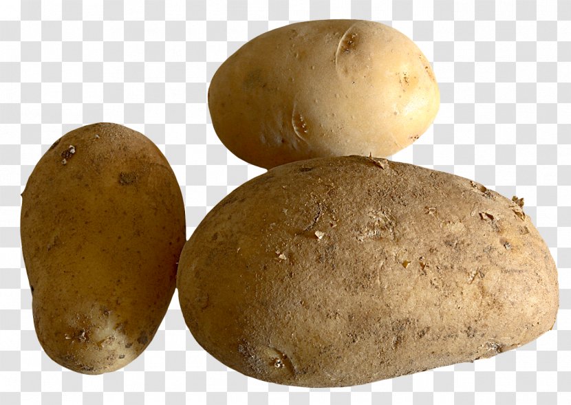 Russet Burbank Vegetable - Fresh Potato Transparent PNG