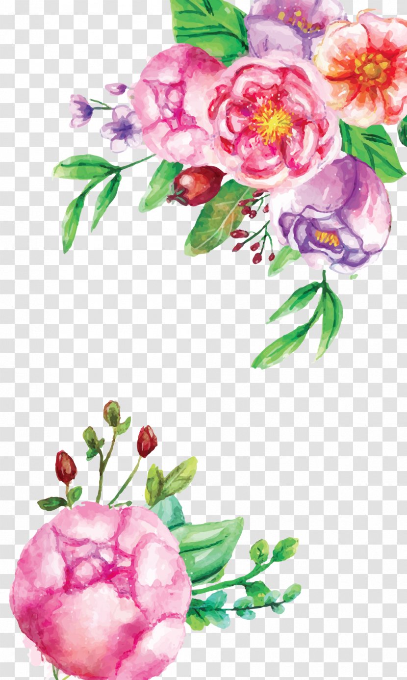 Cut Flowers Floral Design Garden Roses - Flower - Watercolor Transparent PNG