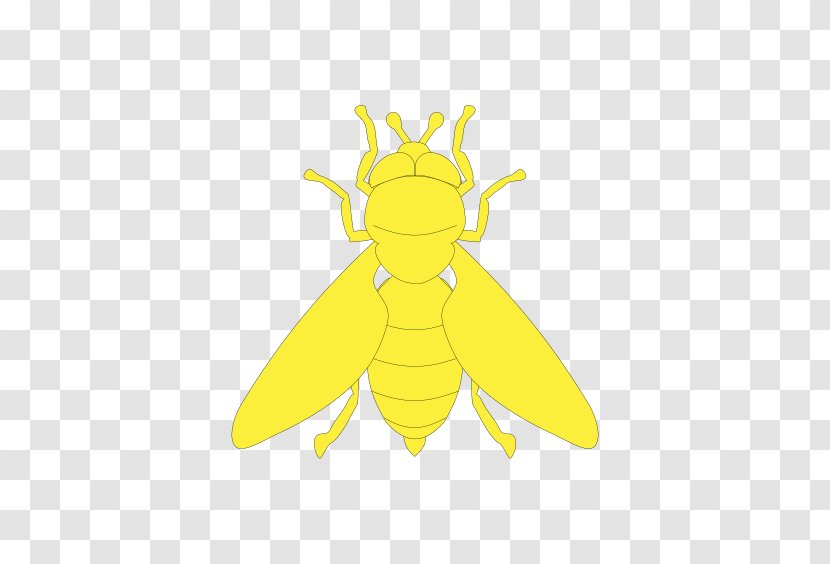 Honey Bee Character Clip Art - Insect Transparent PNG