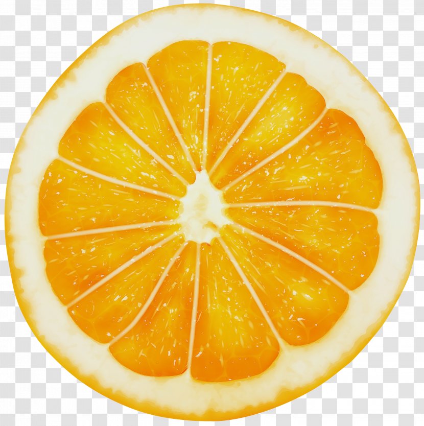 Orange - Meyer Lemon - Rangpur Valencia Transparent PNG