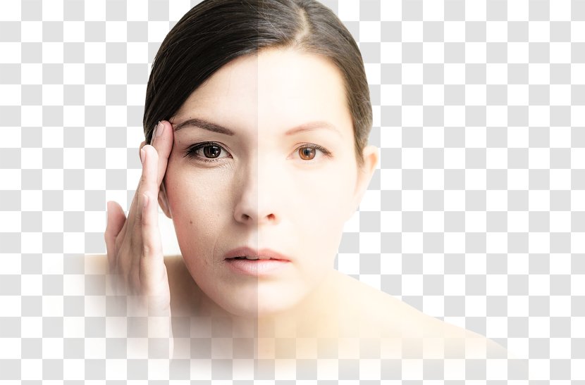 Goji Cream Berry Wrinkle Skin - Price - Close Up Transparent PNG
