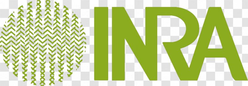 Institut National De La Recherche Agronomique INRA Research Station At Pierroton Vigne Logo Product Design - Green - Oak Ridge Laboratory Transparent PNG