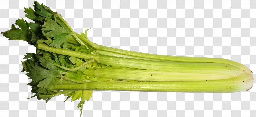 Celery Apium Vegetable Food Celeriac - Ginger Transparent PNG