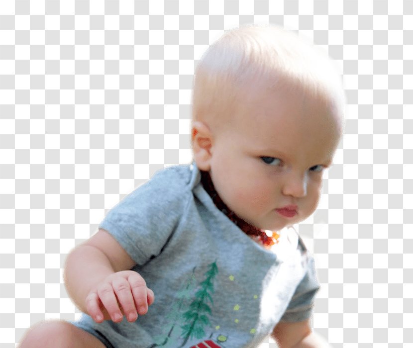 Toddler Infant Finger - Beanstalk Transparent PNG