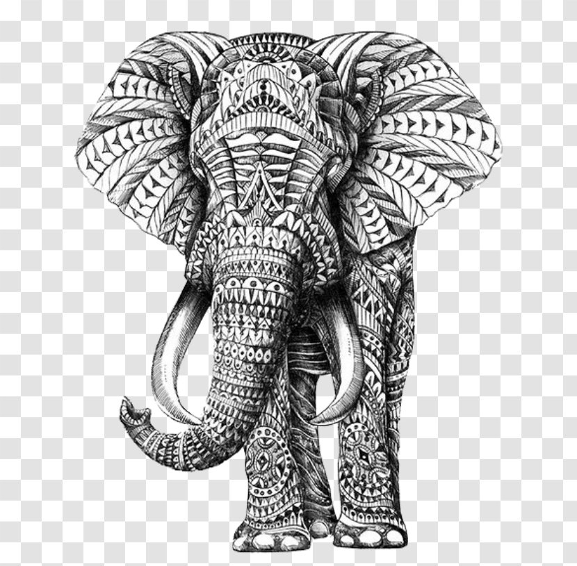 Drawing Elephantidae Pattern - Design Transparent PNG
