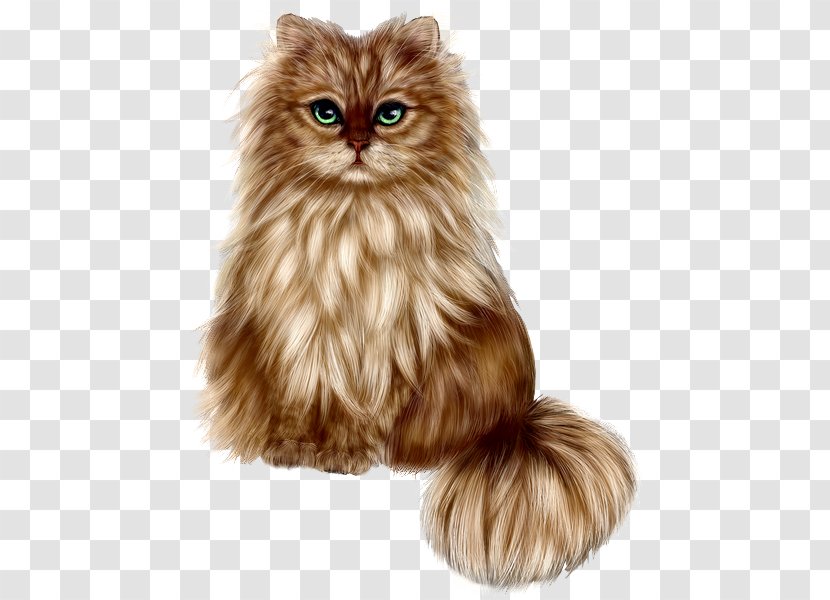 Persian Cat Kitten Pet Dog Breed - Fresh Air Cartoon Transparent PNG