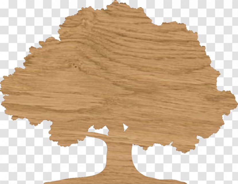 Drawing Tree English Oak - Wood - Floor Transparent PNG