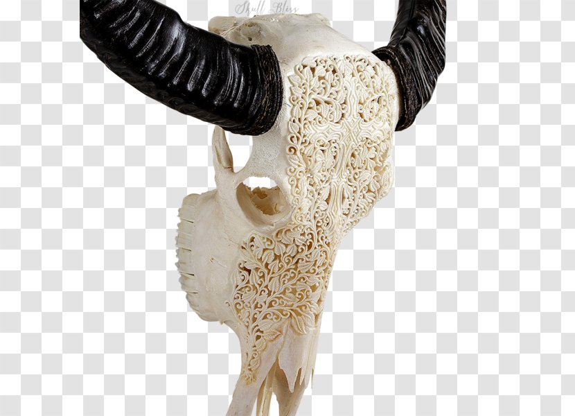 Animal Skulls Horn Bone Skeleton - Celts - Buffalo Skull Transparent PNG