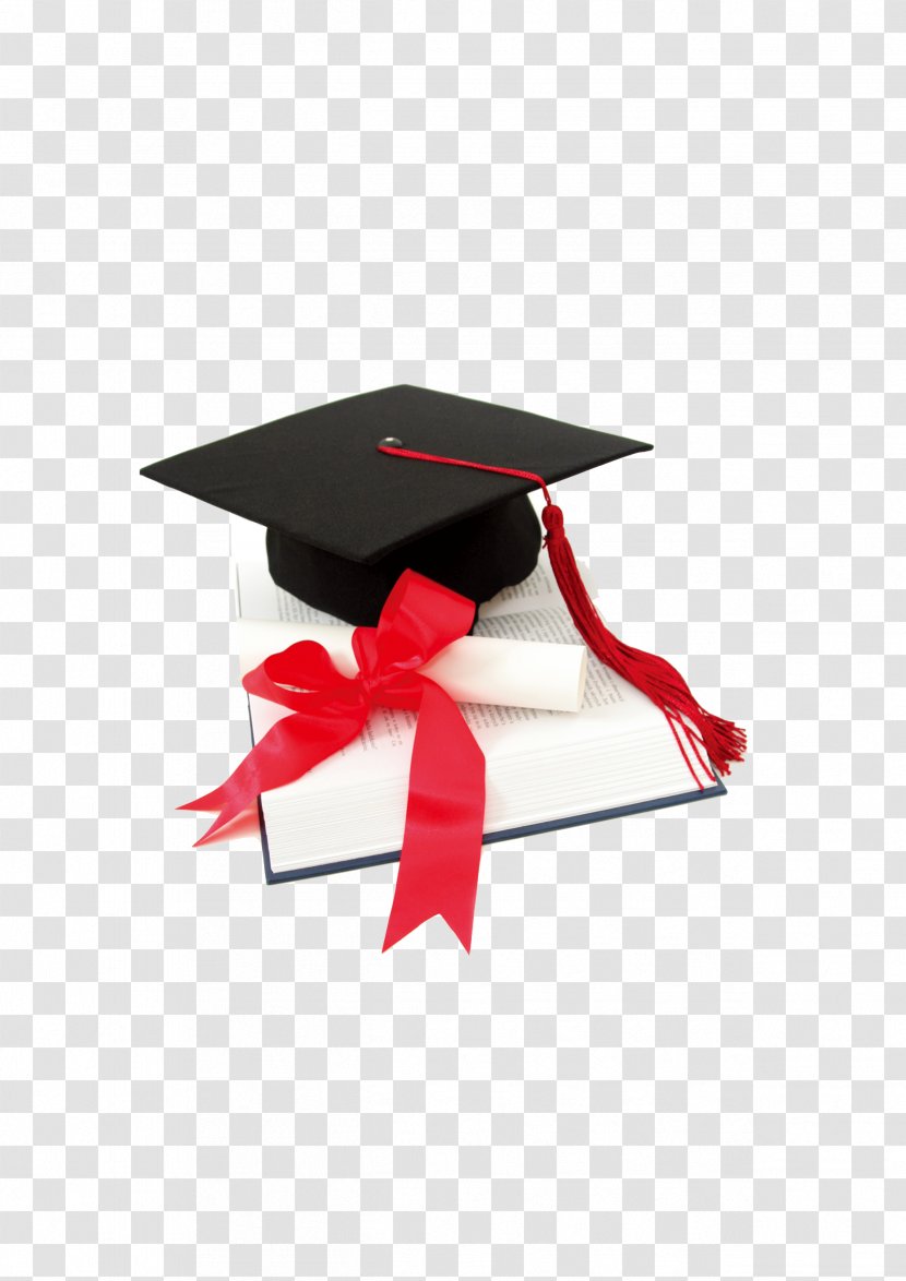 Student Graduation Ceremony Academic Degree Diploma - Dr. Cap Transparent PNG