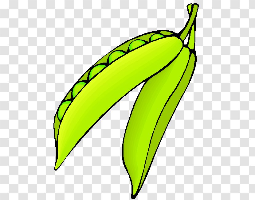 Banana Pea Vegetarian Cuisine Soybean Clip Art - Tomato - Buah Buahan Transparent PNG