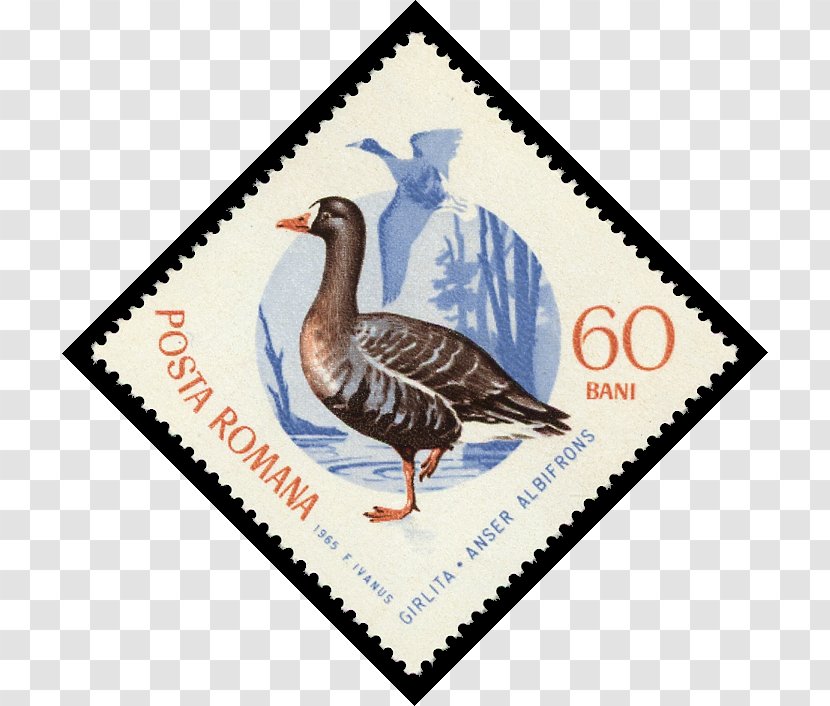 Duck Goose Sbeitla 0 Postage Stamps - Fauna Transparent PNG