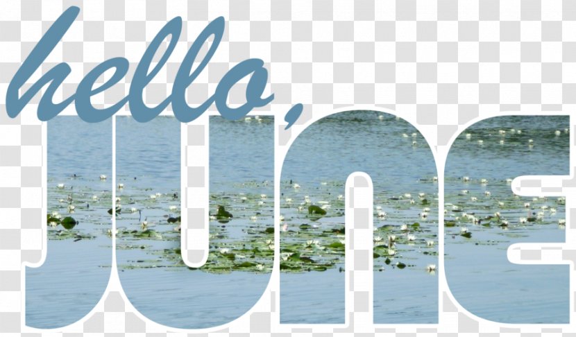 Paper Caseificio Stella Sticker Brand Window - Hello June Transparent PNG