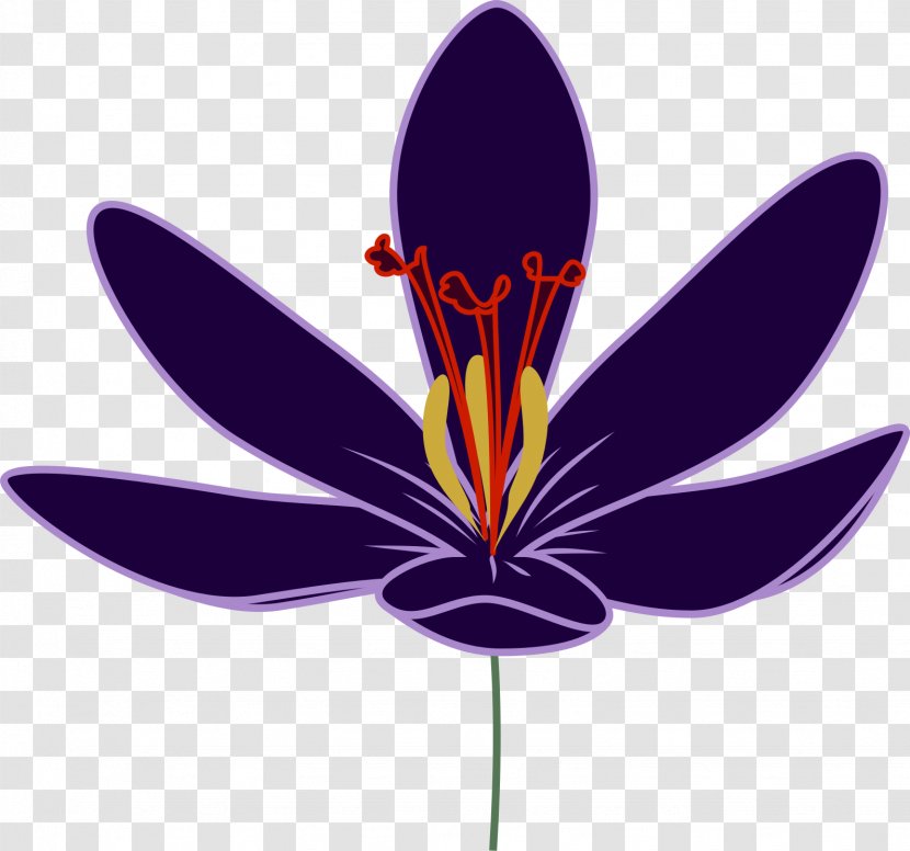 Saffron Flower Crocus Flavus Clip Art - Spice - Transparent Transparent PNG