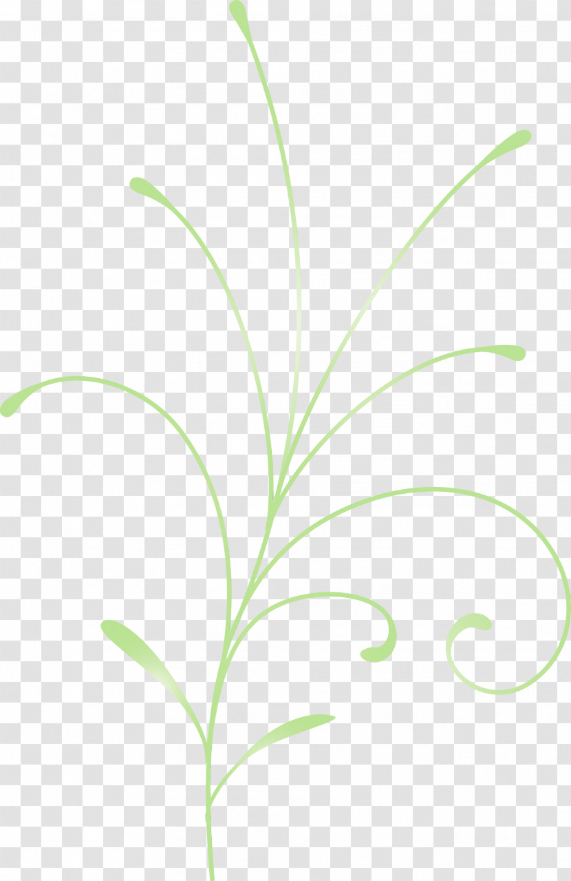 Leaf Grass Green Plant Grass Family Transparent PNG