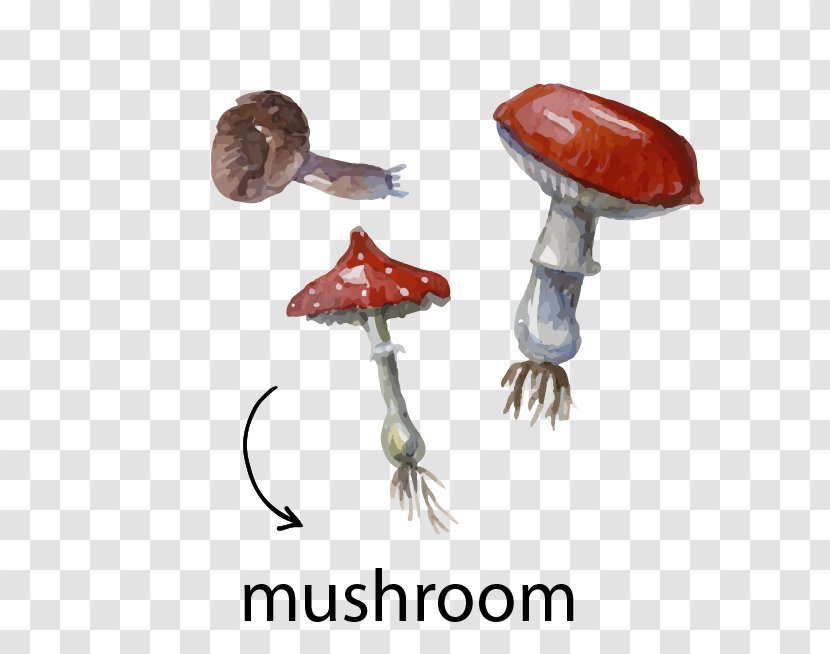 Watercolor Painting Illustration - Cutlery - Mushroom Material Transparent PNG