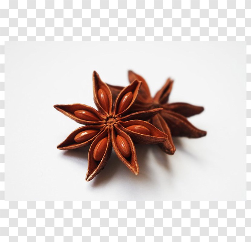 Masala Chai Star Anise Spice Absinthe - Herb Transparent PNG