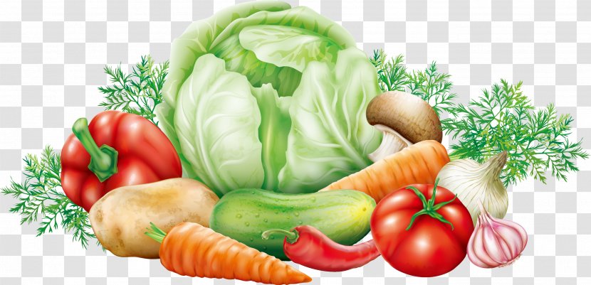 Cabbage Vegetable Potato Clip Art - Vector Vegetables Transparent PNG
